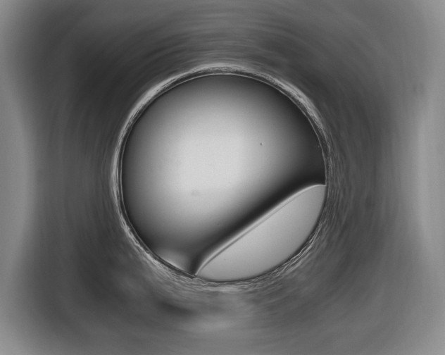X0000116421199200912081153