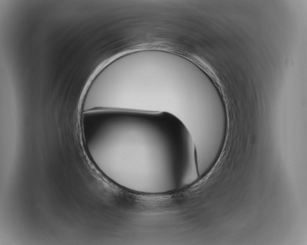 X0000116421200200912081153