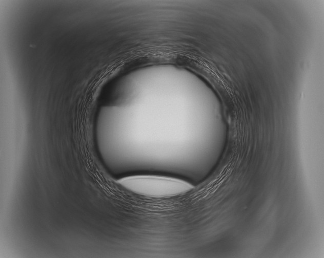 X0000116421201200912081153