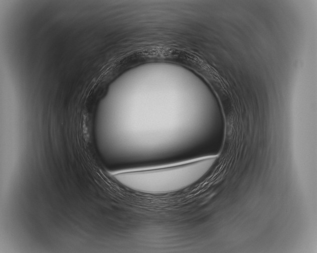 X0000116421202200912081153