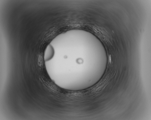 X0000116421203200912081153