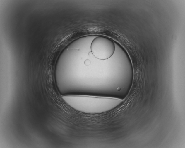 X0000116421205200912081153