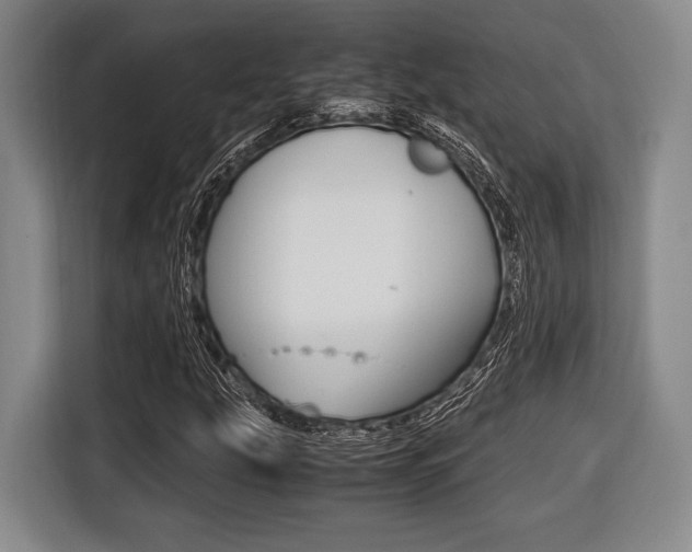 X0000116421207200912081153