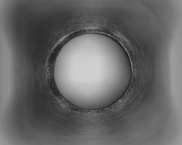 X0000116421208200912081153