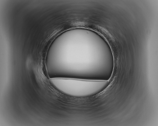 X0000116421209200912081153
