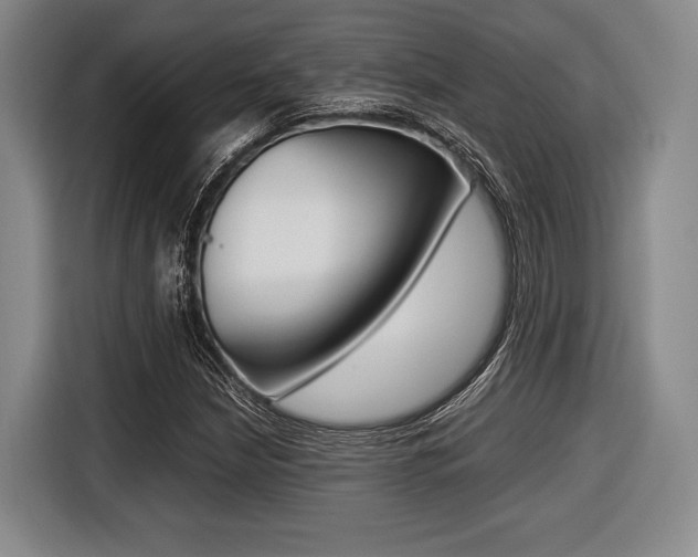 X0000116421210200912081153