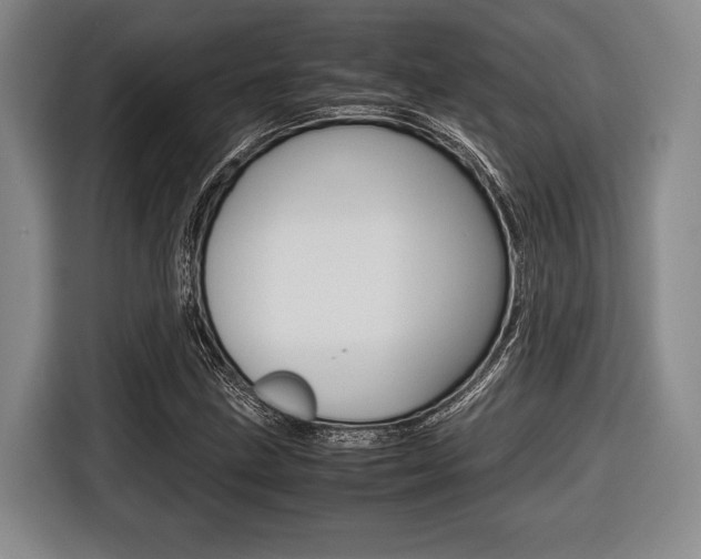 X0000116421211200912081153