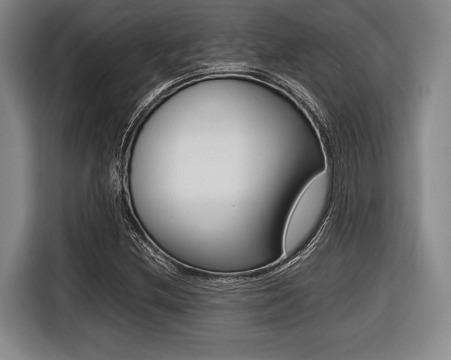 X0000116421212200912081153