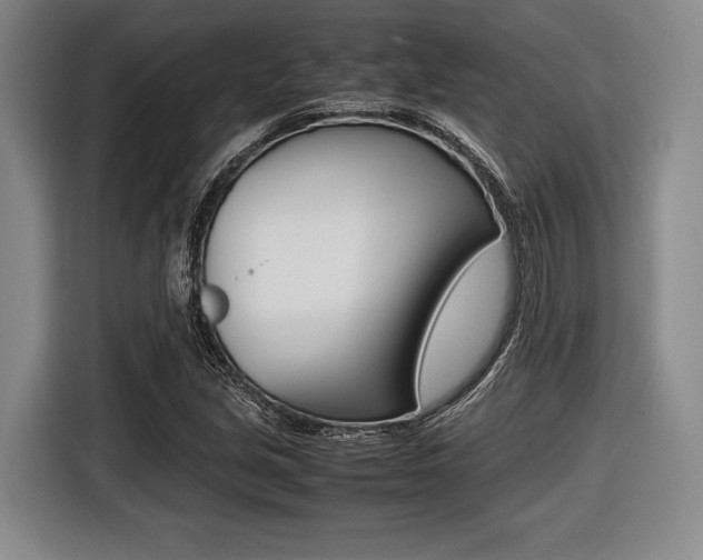 X0000116421213200912081153