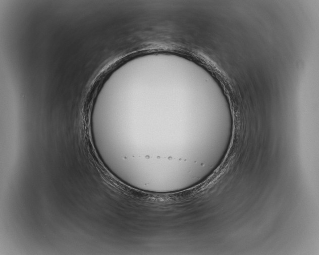 X0000116421215200912081153