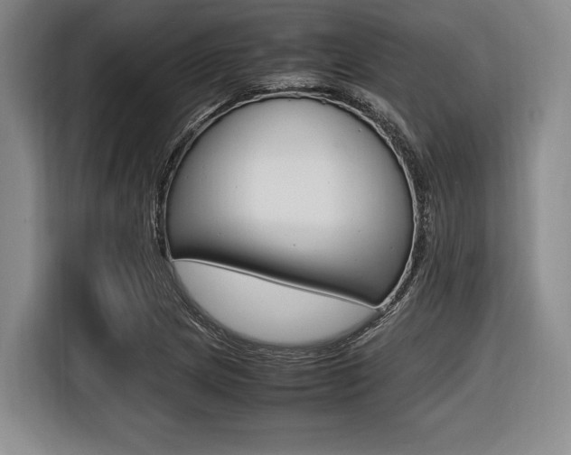 X0000116421217200912081153