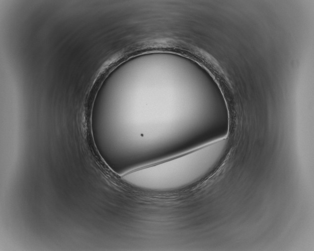 X0000116421218200912081153