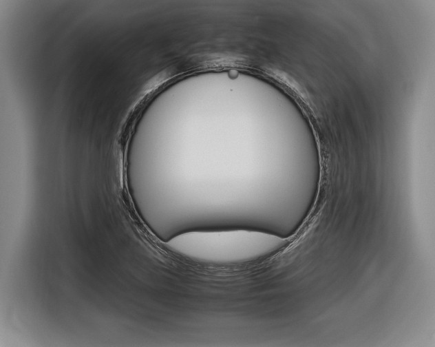 X0000116421219200912081153