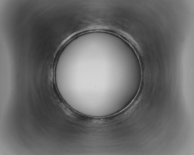 X0000116421220200912081153