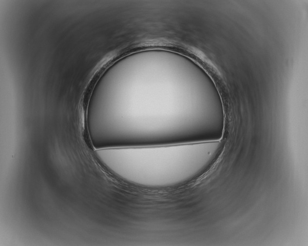 X0000116421221200912081153