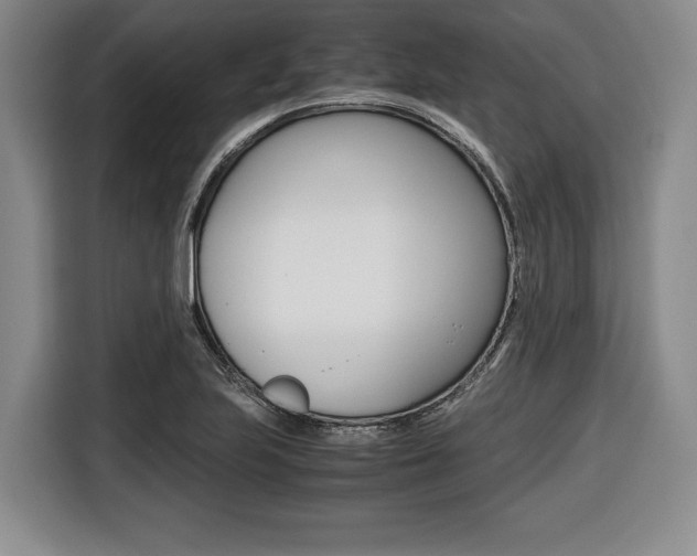 X0000116421223200912081153