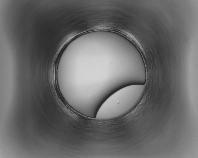 X0000116421227200912081153