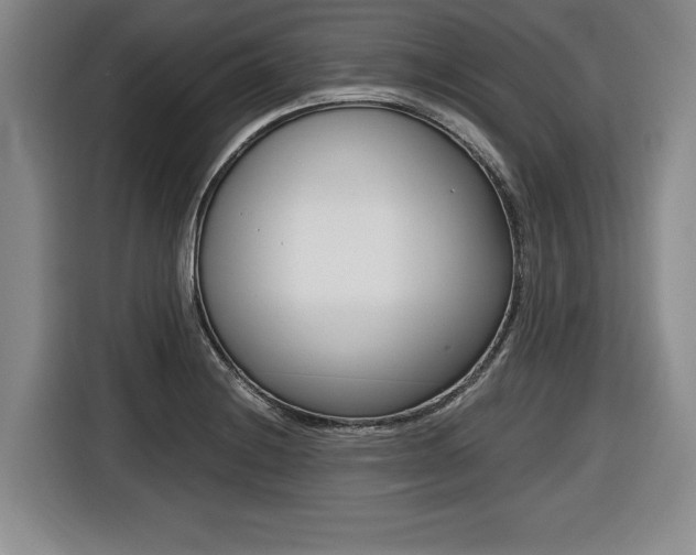 X0000116421228200912081153