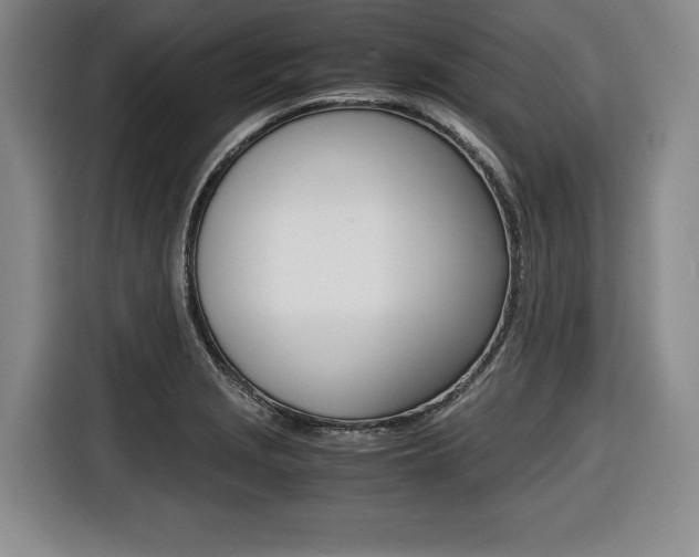 X0000116421229200912081153