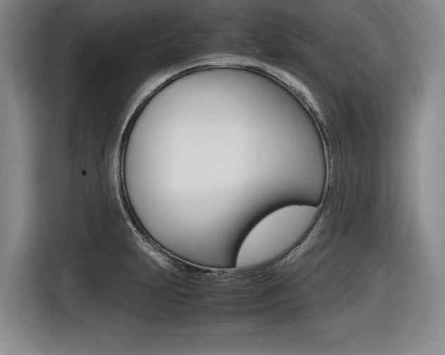 X0000116421231200912081153