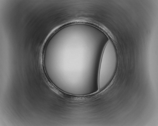 X0000116421232200912081153