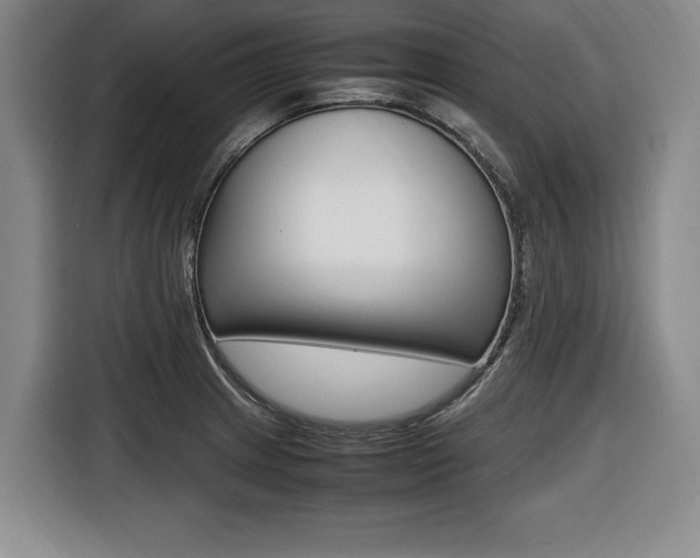 X0000116421233200912081153