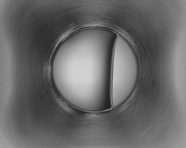 X0000116421234200912081153