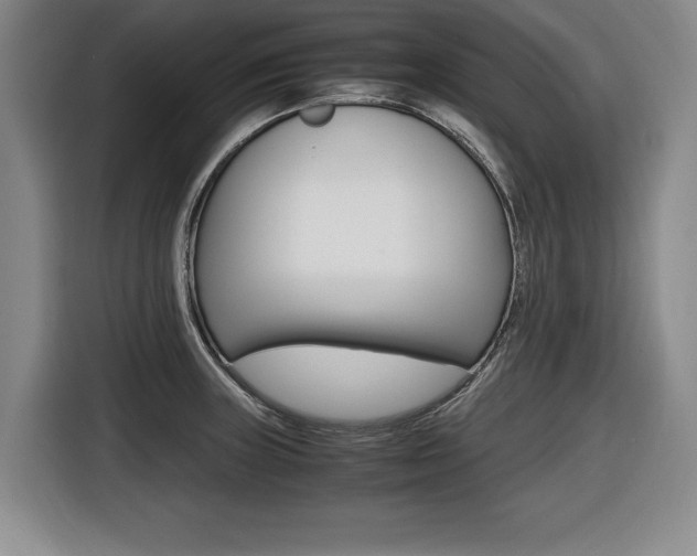 X0000116421235200912081153