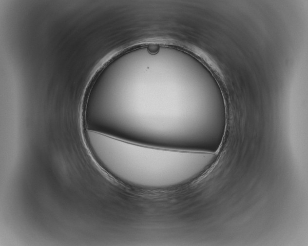 X0000116421237200912081153