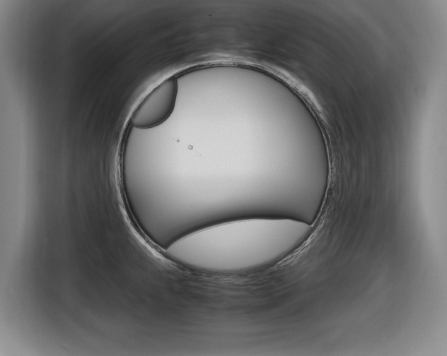 X0000116421239200912081153