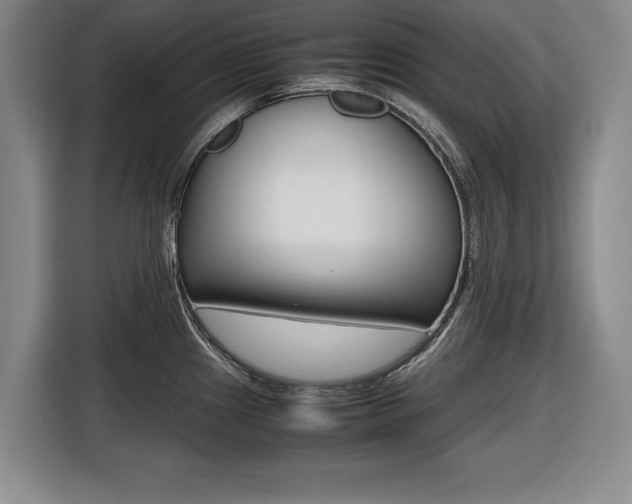 X0000116421241200912081153