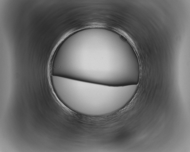 X0000116421243200912081153