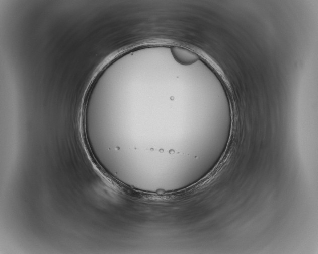 X0000116421245200912081153