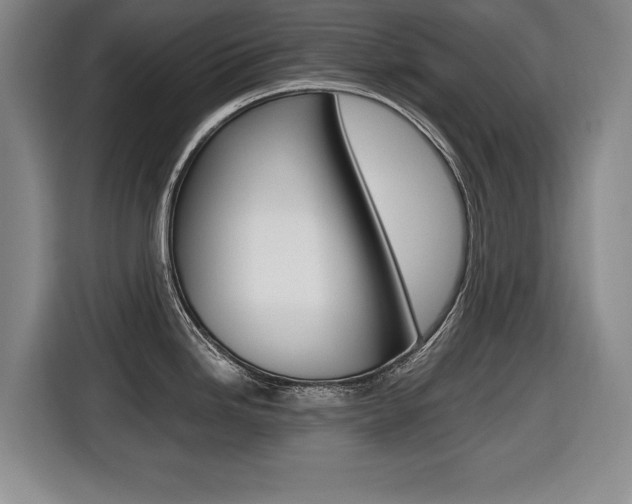 X0000116421246200912081153