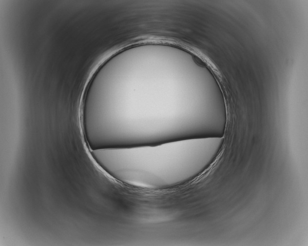 X0000116421247200912081153