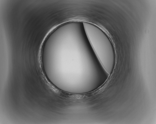X0000116421248200912081153