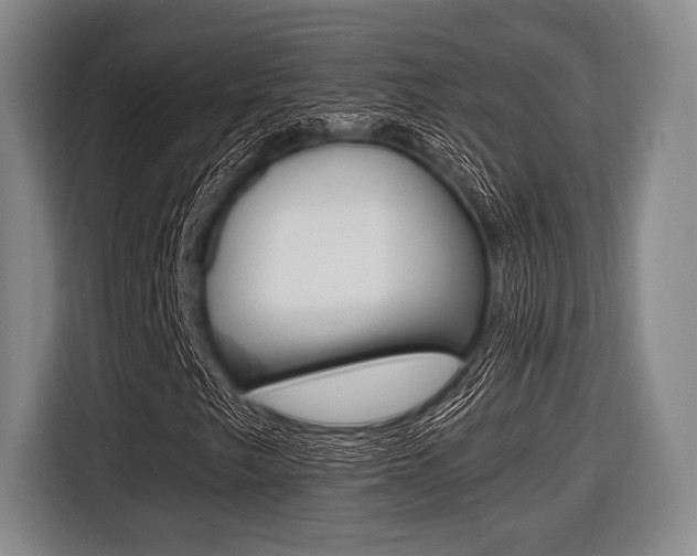 X0000116421249200912081153