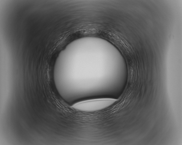 X0000116421250200912081153