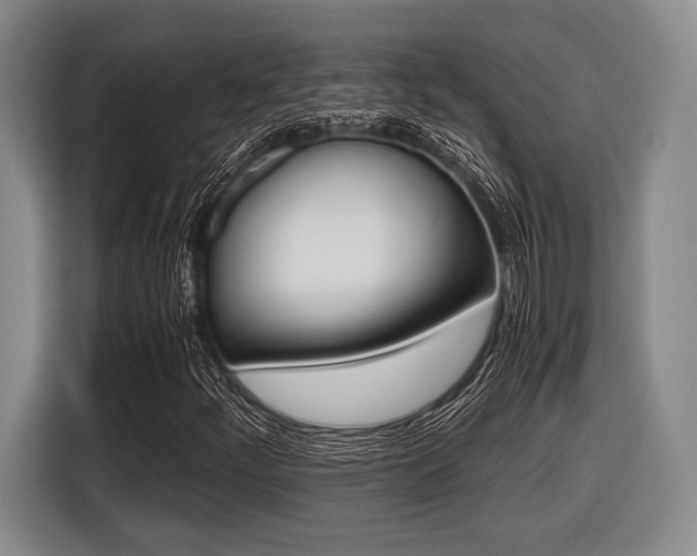 X0000116421252200912081153
