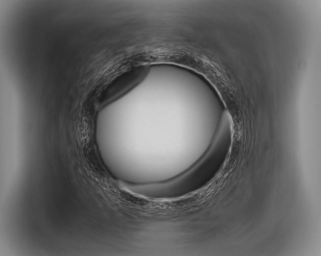 X0000116421253200912081153