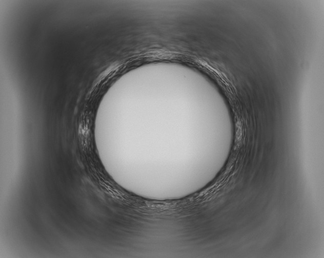 X0000116421254200912081153