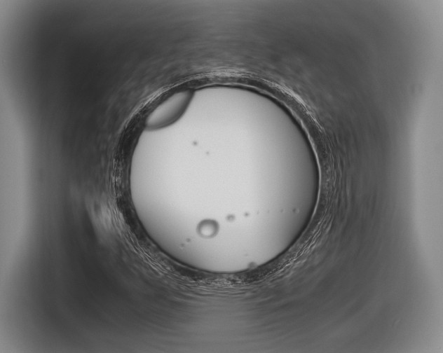 X0000116421255200912081153