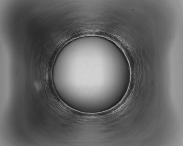 X0000116421257200912081152