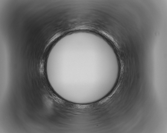 X0000116421258200912081152