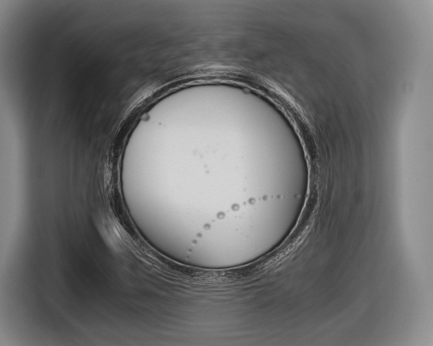 X0000116421259200912081152