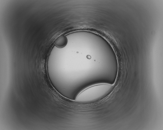 X0000116421265200912081152