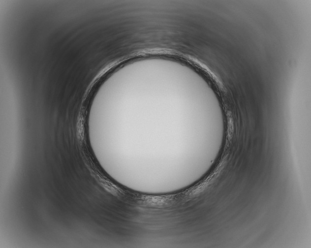 X0000116421266200912081152