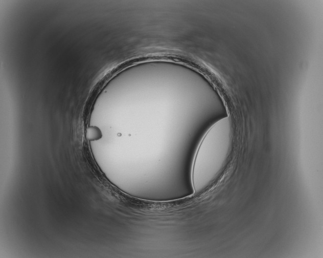 X0000116421267200912081152