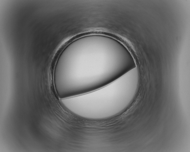 X0000116421271200912081152