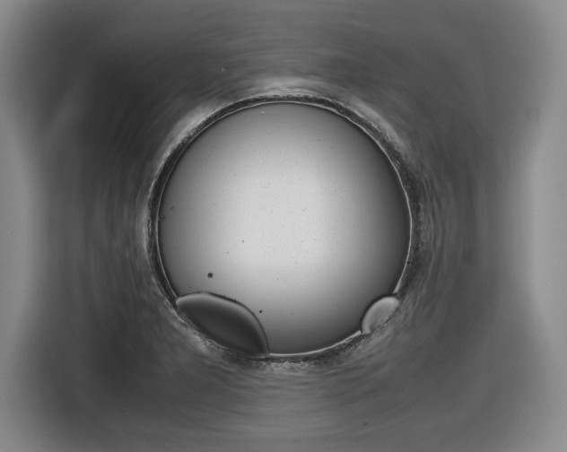 X0000116421277200912081152